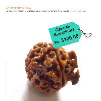 Ganesh Rudraksha from Teleone