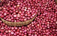 Fresh Red Onion