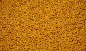 Fenugreek Seeds