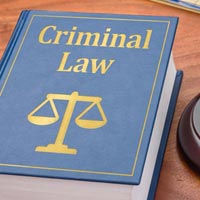 Criminal Legal Services