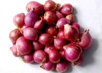 small onion shallots (sambar)