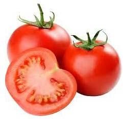 Fresh Tomato