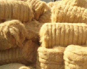 Coconut Fibre