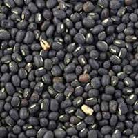 Black Mung Beans