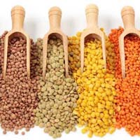 Indian Pulses