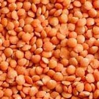 Red Lentils