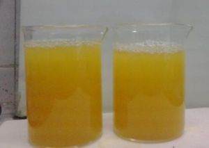 Pineapple Pulp