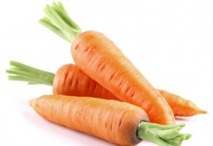 Fresh Carrots