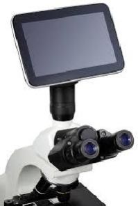 Microscope Camera