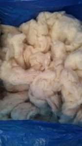 Raw Cotton