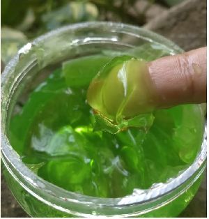 Organic Aloevera Gel