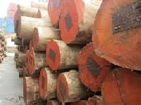 Eucalyptus Logs