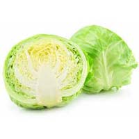 Fresh Green Cabbage