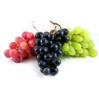 Fresh Grapes