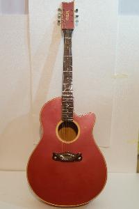 Cutaway Semi Electric Guitar