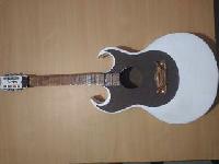 Solitary Modish Semi Electric Guitar