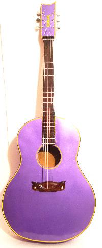 Professional Spanish Classic Acoustic Guitar
