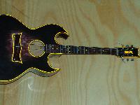 Solitary Modish Semi Electric Guitar