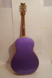 Professional Spanish Classic Semi Electric Guitar