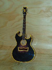 Solitary Modish Acoustic Guitar