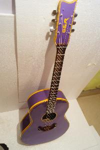Professional Spanish Classic Semi Electric Guitar
