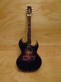 Solitary Modish Acoustic Guitar