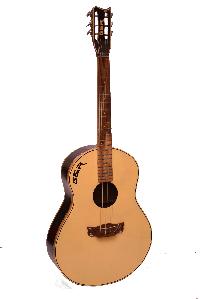 Professional Spanish Classic Acoustic Guitar