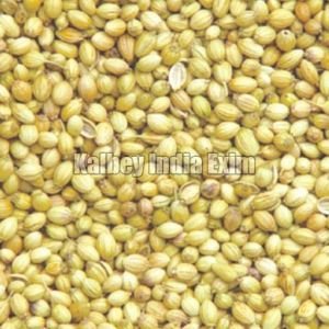 Coriander Seeds