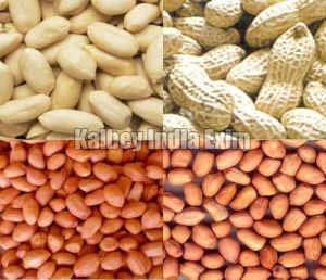 Groundnut Seeds