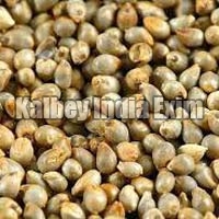Pearl Millet Grain
