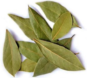 Bay Leaves