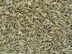 Fennel Seed