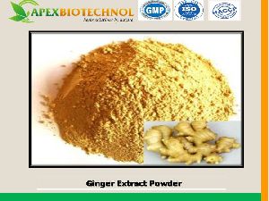 GINGER EXTRACT