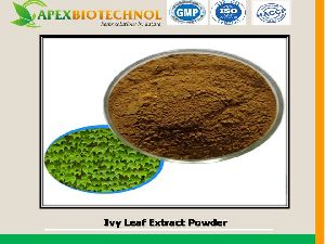 Ivy Leaf Extract