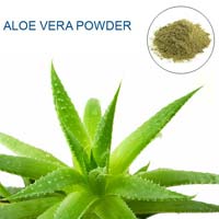 Aloe Vera Powder