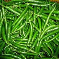 Fresh Green Chilli