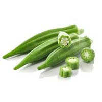 Fresh Okra