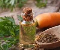 Carrot Seed Oil