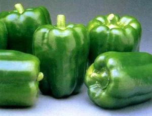 Fresh Capsicum