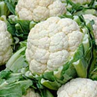 Fresh Cauliflower