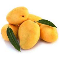 Fresh Mango