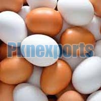 white & brown eggs