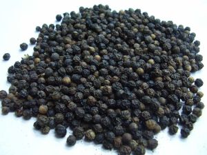 Black Pepper Seeds