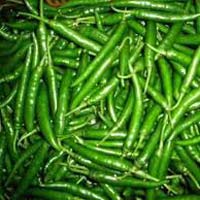 Fresh Green Chilli