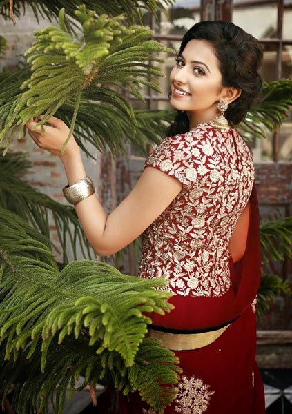 Bridal Georgette Dress Material