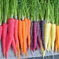 Carrots