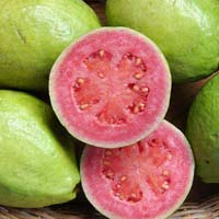 Fresh Guava