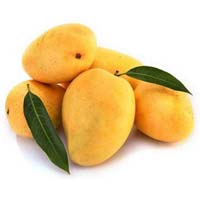 Fresh Mango