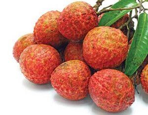 Litchi Pulp