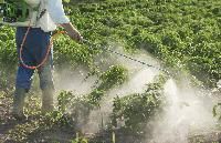 Organic Pesticides